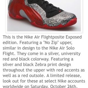 Limited Edition(!) Nike Air Flightposite
